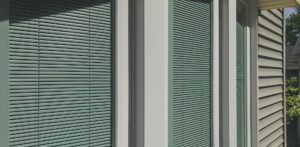 Intigral blinds