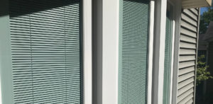 Intigral blinds