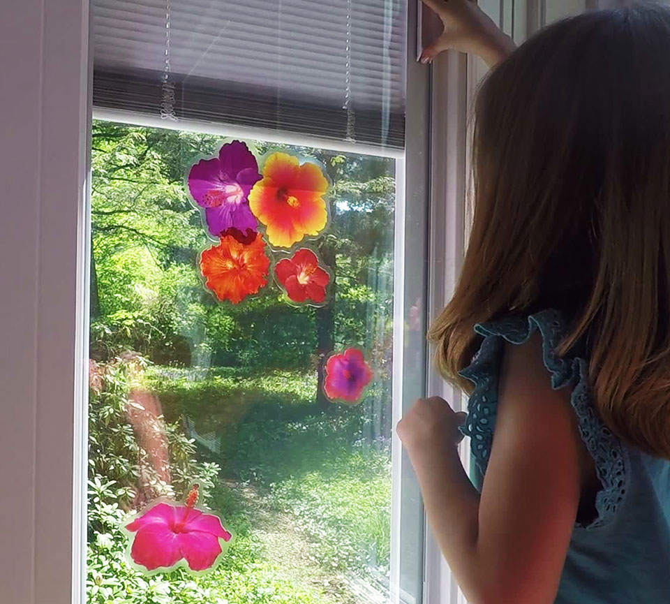 Intigral Blinds - Form and Function
