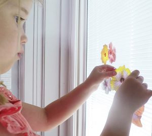 Intigral Blinds - Wide Variety of Products